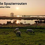 Wiesenzauber - Ruhige Lage Am Stadtrand Von Leer & Naehe Papenburg *