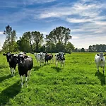 Wiesenzauber - Ruhige Lage Am Stadtrand Von Leer & Naehe Papenburg