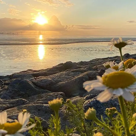Wiesenzauber - Ruhige Lage Am Stadtrand Von Leer & Naehe Papenburg Διαμέρισμα Rhauderfehn