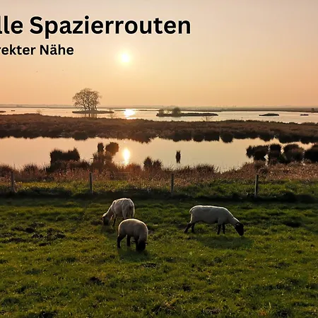 Wiesenzauber - Ruhige Lage Am Stadtrand Von Leer & *