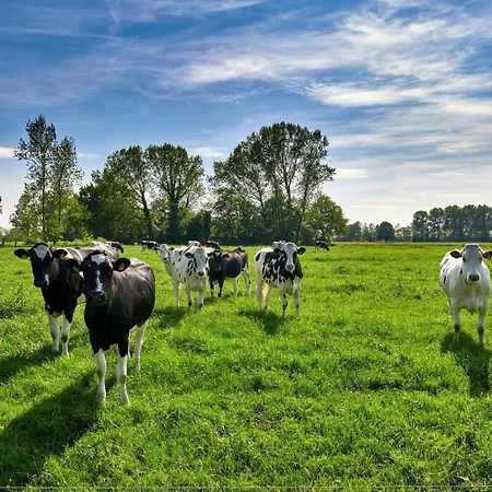 Wiesenzauber - Ruhige Lage Am Stadtrand Von Leer &