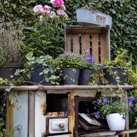 Wiesenzauber - Ruhige Lage Am Stadtrand Von Leer & Naehe Papenburg Appartamento Rhauderfehn