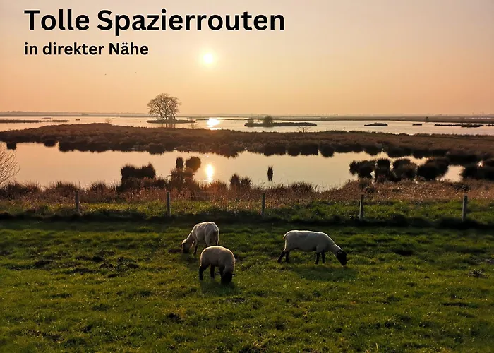 Wiesenzauber - Ruhige Lage Am Stadtrand Von Leer & Naehe Papenburg *