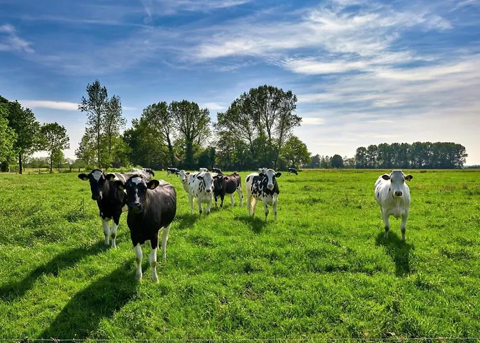 Wiesenzauber - Ruhige Lage Am Stadtrand Von Leer & Naehe Papenburg
